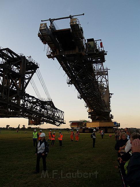 Bagger auf Reisen P236.JPG